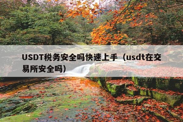 USDT税务安全吗快速上手(usdt在交易所安全吗)