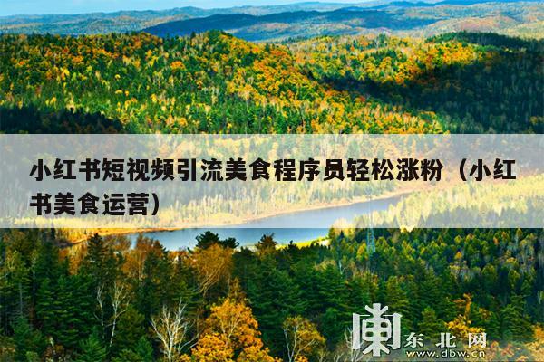 小红书短视频引流美食程序员轻松涨粉(小红书美食运营)