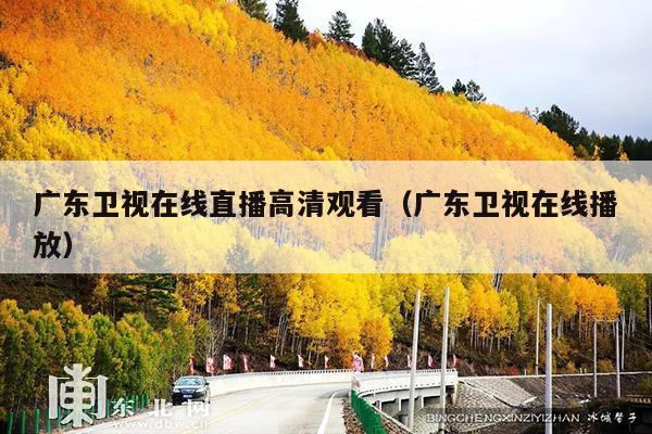 广东卫视在线直播高清观看(广东卫视在线播放)