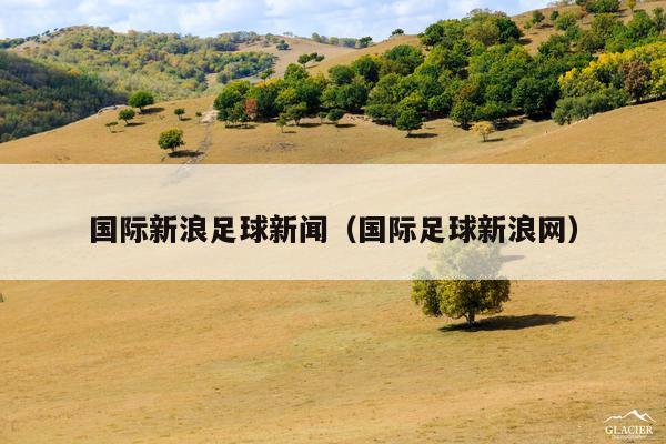 国际新浪足球新闻(国际足球新浪网)