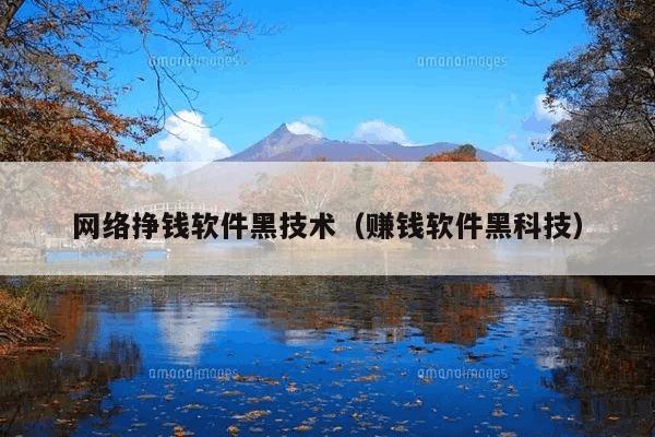 网络挣钱软件黑技术(赚钱软件黑科技)