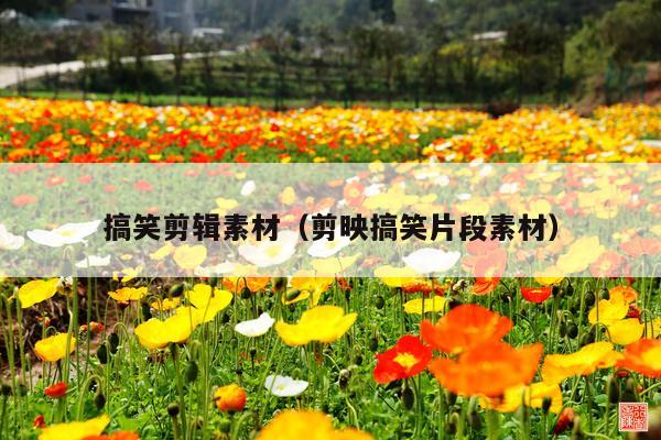 搞笑剪辑素材(剪映搞笑片段素材)