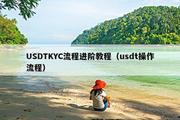 USDTKYC流程进阶教程(usdt操作流程)