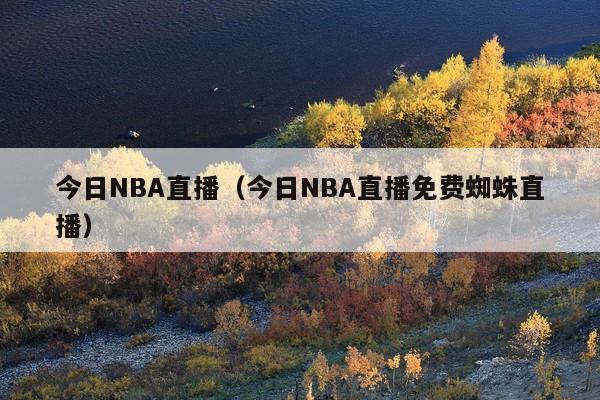 今日NBA直播(今日NBA直播免费蜘蛛直播)