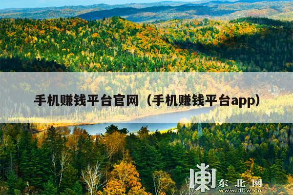 手机赚钱平台官网(手机赚钱平台app)