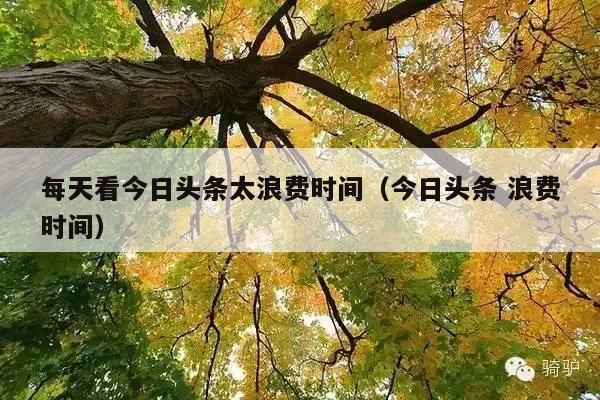 每天看今日头条太浪费时间(今日头条 浪费时间)