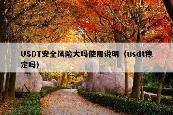 USDT安全风险大吗使用说明(usdt稳定吗)