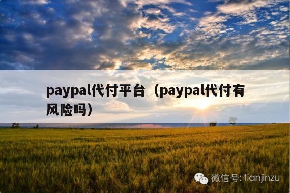 paypal代付平台(paypal代付有风险吗)