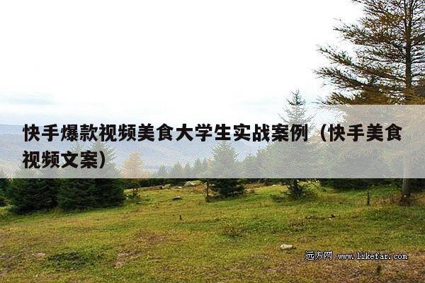 快手爆款视频美食大学生实战案例(快手美食视频文案)