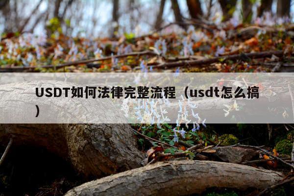 USDT如何法律完整流程(usdt怎么搞)