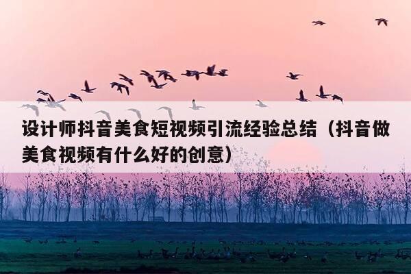 设计师抖音美食短视频引流经验总结(抖音做美食视频有什么好的创意)