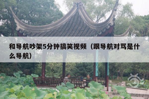 和导航吵架5分钟搞笑视频(跟导航对骂是什么导航)