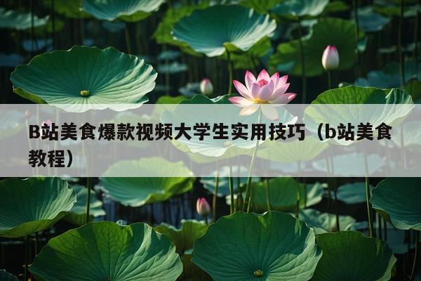 B站美食爆款视频大学生实用技巧(b站美食教程)