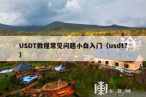 USDT教程常见问题小白入门(usdt?)