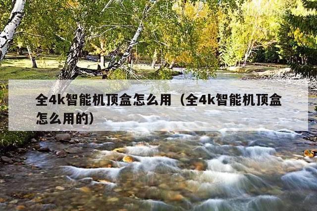 全4k智能机顶盒怎么用(全4k智能机顶盒怎么用的)