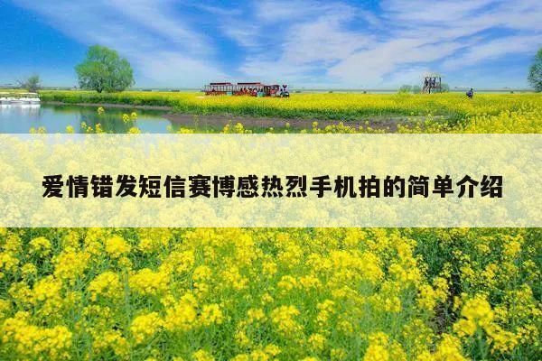 爱情错发短信赛博感热烈手机拍的简单介绍