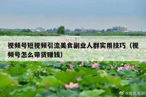 视频号短视频引流美食副业人群实用技巧(视频号怎么带货赚钱)
