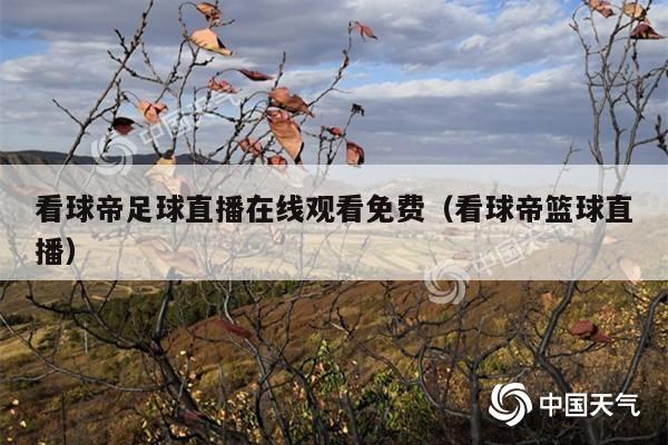 看球帝足球直播在线观看免费(看球帝篮球直播)