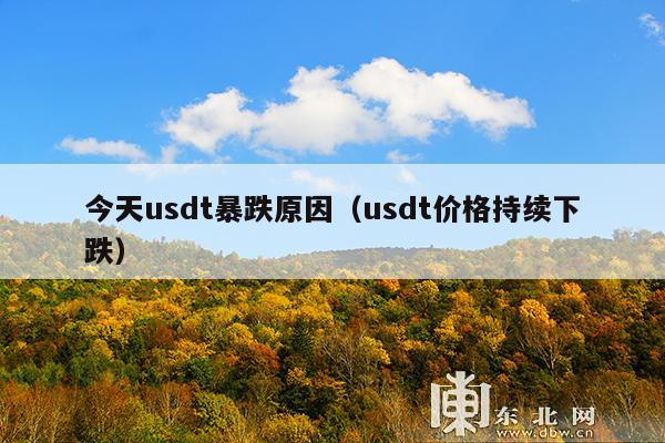 今天usdt暴跌原因(usdt价格持续下跌)