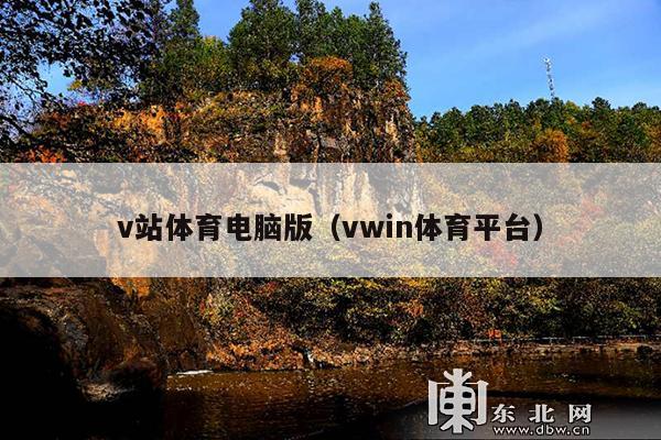 v站体育电脑版(vwin体育平台)