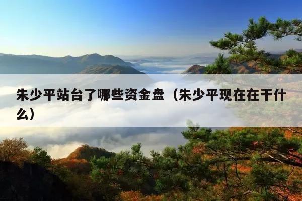 朱少平站台了哪些资金盘(朱少平现在在干什么)