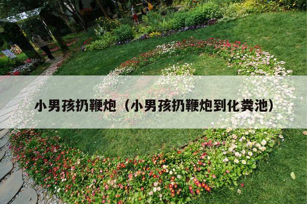 小男孩扔鞭炮(小男孩扔鞭炮到化粪池)