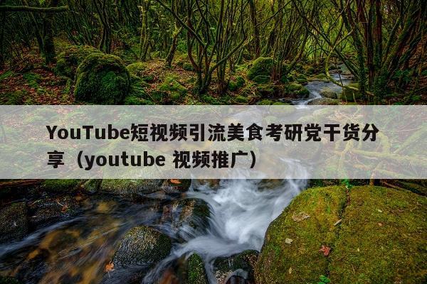 YouTube短视频引流美食考研党干货分享(youtube 视频推广)