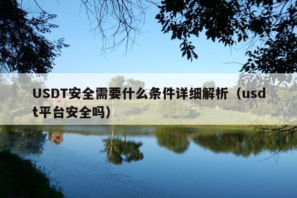 USDT安全需要什么条件详细解析(usdt平台安全吗)