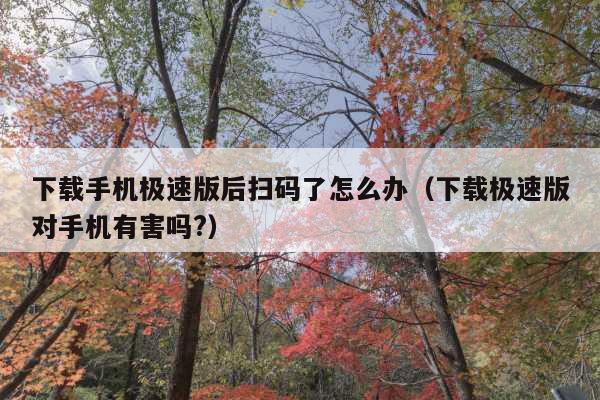 下载手机极速版后扫码了怎么办(下载极速版对手机有害吗?)