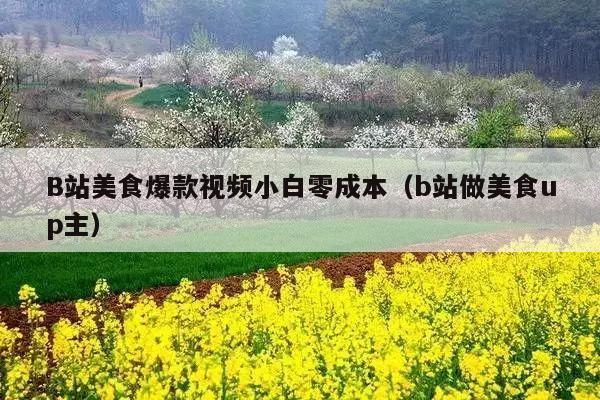 B站美食爆款视频小白零成本(b站做美食up主)