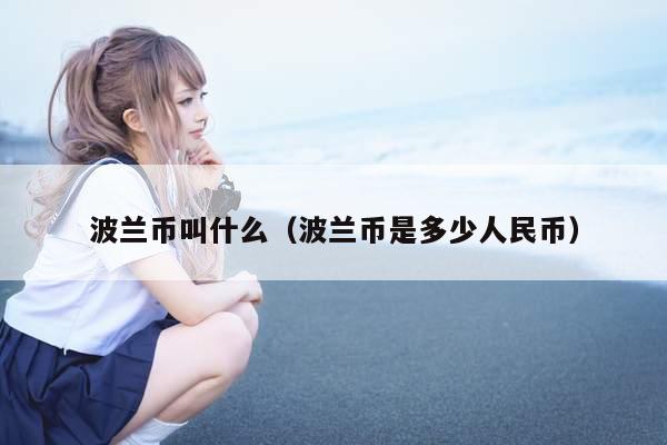 波兰币叫什么(波兰币是多少人民币)