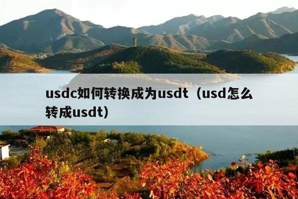 usdc如何转换成为usdt(usd怎么转成usdt)