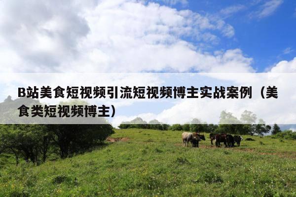 B站美食短视频引流短视频博主实战案例(美食类短视频博主)