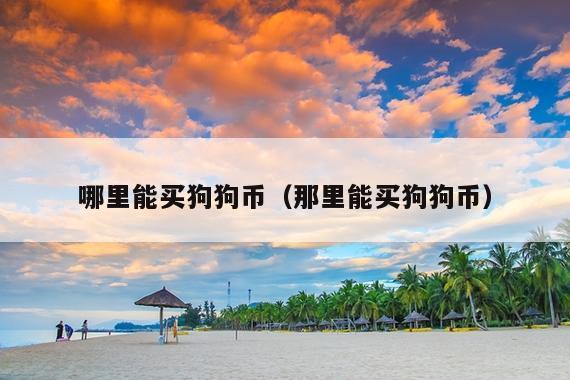 哪里能买狗狗币(那里能买狗狗币)