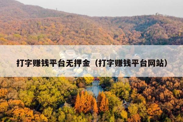 打字赚钱平台无押金(打字赚钱平台网站)