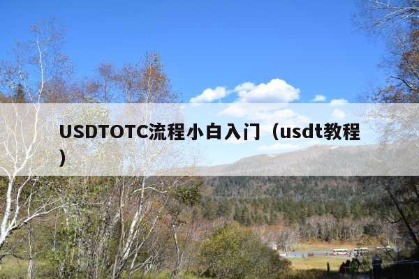 USDTOTC流程小白入门(usdt教程)