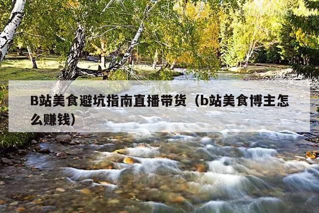 B站美食避坑指南直播带货(b站美食博主怎么赚钱)