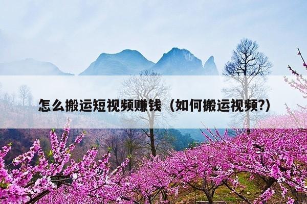 怎么搬运短视频赚钱(如何搬运视频?)