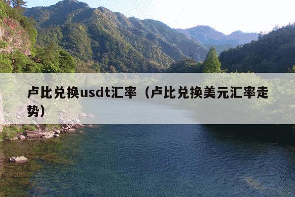卢比兑换usdt汇率(卢比兑换美元汇率走势)