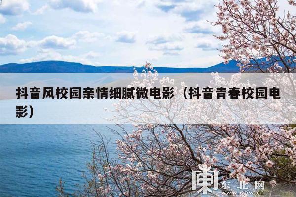 抖音风校园亲情细腻微电影(抖音青春校园电影)