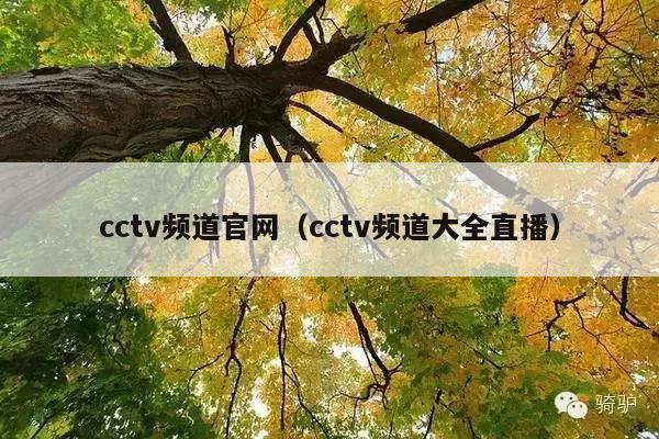 cctv频道官网(cctv频道大全直播)