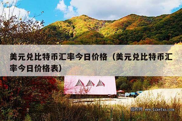 美元兑比特币汇率今日价格(美元兑比特币汇率今日价格表)