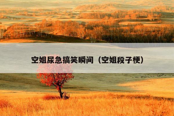 空姐尿急搞笑瞬间(空姐段子梗)