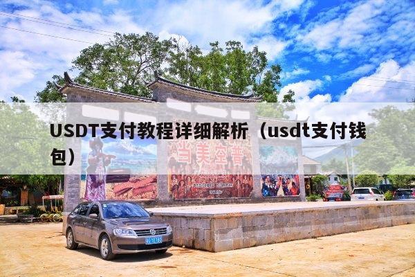 USDT支付教程详细解析(usdt支付钱包)
