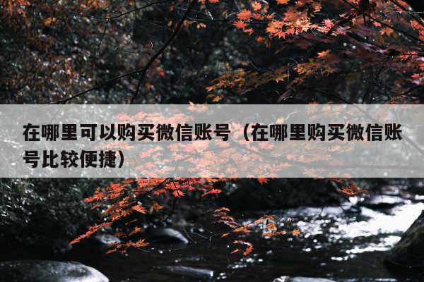 在哪里可以购买微信账号(在哪里购买微信账号比较便捷)