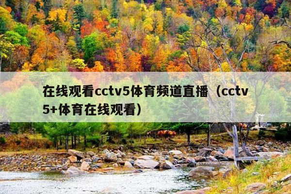 在线观看cctv5体育频道直播(cctv5+体育在线观看)