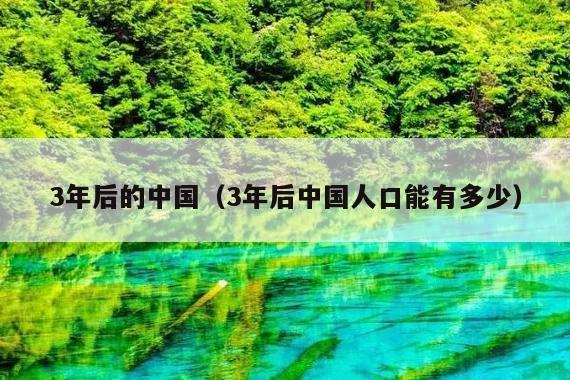 3年后的中国(3年后中国人口能有多少)