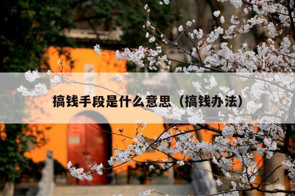 搞钱手段是什么意思(搞钱办法)