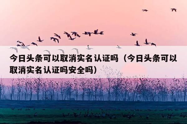 今日头条可以取消实名认证吗(今日头条可以取消实名认证吗安全吗)
