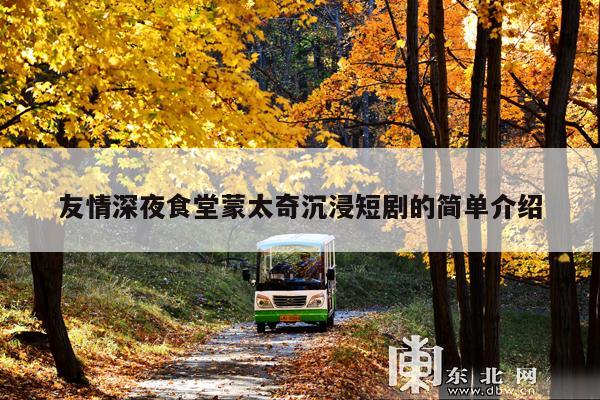 友情深夜食堂蒙太奇沉浸短剧的简单介绍